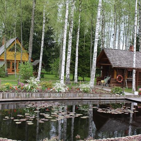 Holiday Home Berzlejas Upesgriva Екстериор снимка
